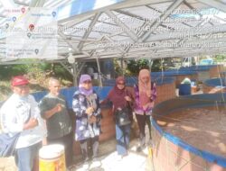 Dinas Perikanan Sukabumi Dorong Peningkatan Budidaya Ikan Sidat Untuk Peningkatan Ekonomi Masyarakat