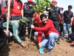 Rangkaian HUT PDIP Ke 50, Adakan Kegiatan Penanaman 50 Ribu Pohon di Bekasi