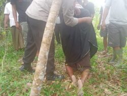 Polsek Banjar Agung Olah TKP Penemuan Mayat Tergantung di Pohon Jengkol