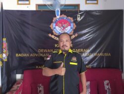 Terkait Dugaan Mark Up Data Siswa, DPD BAIN HAM RI Tuba Sedang Dalam Proses Full Data Dan Baket, Untuk Lapor ke APH