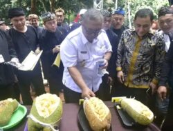 Festival Cempedak Cibugis, Bupati Sukabumi : Langkah Strategis Dongkrak Kesejahteraan Masyarakat