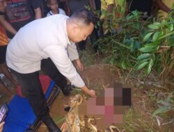 Sadis” Bocah 15 Tahun Ditemukan Tewas Bersimbah Di Kebun Sawit Dengan kondisi Leher Nyaris Putus