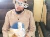Kedapatan Bawa Emas Hasil Tambang Ilegal, Warga Batang Asai Diamankan Polisi
