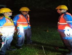 Recovery Cepat PLN Rimbo Bujang, Amankan Suplai Kelistrikan Saat Hujan Petir