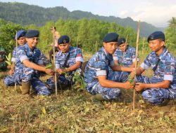 Sekitar 1500 Pohon Mangrove Ditanam, Satrad 216 Cibalimbing Ambil Bagian Bersama Masyarakat Sukabumi