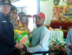 Pemkab OKU Selatan Serahkan Bibit Jagung Hibrida Kepada Kelompok Tani Maju Bersama Desa Simpang Agung