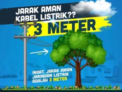 Himbauan Jarak Aman Keselamatan Listrik Tiang JTM dengan Bangunan dan Pohon ULP Rimbo Bujang