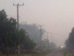 Puluhan Aktivitas Tobong Arang Di Kampung Bangun Rejo Meresahkan Warga