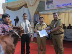 Pemkot Tangerang Terima 32 Ekor Sapi Qurban Dari RSUP Sitanala, Sachrudin : Segera Didistribusikan