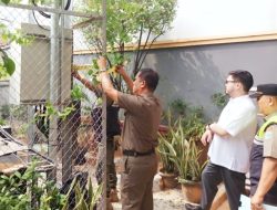 William PSI Damping Satpol PP Segel Tower Tanpa Izin di Semanan