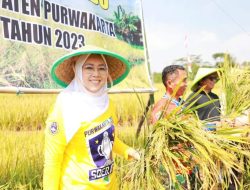 Ribuan Hektar Areal Sawah Disiapkan Pemkab Purwakarta Untuk Mengembangkan Dan Memproduksi Beras Nutri Zinc Bagi Penderita Stunting