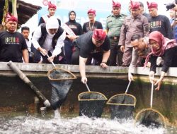 Kunjungi Budidaya Lele di Kediri, Gubernur Jatim : Saat Ini Kebutuhan Ikan Lele Luar Biasa