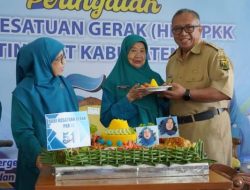 Peringati HKG Ke 51, Bupati Sukabumi Apresiasi Hasil Pelaksanaan 10 Program Pokok PKK