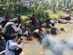 Dinas Kelautan Bersama Pemdes Cikiray Dan LSM di Sukabumi Tabur Ribuan Ikan Tawes