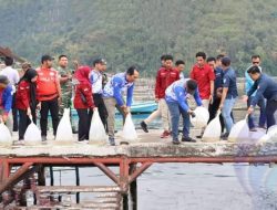 Bupati OKU Selatan Dampingi Gubernur Sumsel Tabur Bibit Ikan di Desa Kota Batu Dalam Rangkaian Event SRGF