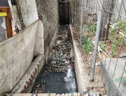 DBD Ancam Warga Kalideres, Sampah dan Lumpur Hiasi Saluran di Jalan Peta Selatan
