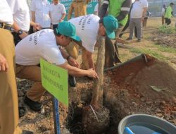 Sachrudin: Menanam Pohon Untuk Masa Depan Kehidupan dan Lingkungan