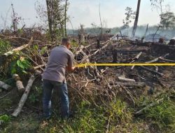 Terduga Pelaku Pembakaran Lahan di Dusun Babeko di Tangkap Polisi