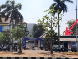 Diduga Jadi Sarang Preman dan Calo, Bangunan Liar di Depan Kantor BPN Jakbar Harus Dibongkar