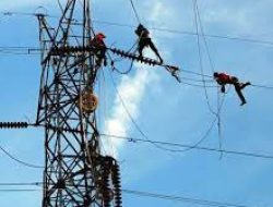 PLN Rimbo Bujang Himbau : Jangan Main layang – layang Dekat Jaringan Listrik