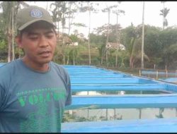 Terkendala modal, Peternak Lele Balap Caringin Minta Perhatian Pemerintah
