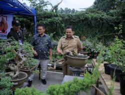 Ajak Warga Ramaikan Pameran Bonsai, Arief : Tak Hanya Seni Dan Juga Bernilai Ekonomi Serta Peduli Lingkungan