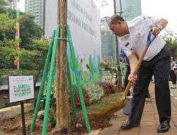 Selain 11 Pohon Pule Ditanam, Ada 3000 Pohon Ditanam Secara Serentak di Jakbar
