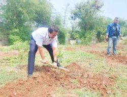 Ikuti Program Hijaukan Langit Jakarta, Kelurahan Kamal Tanam Pohon Holtikultura Jenis Frutikultura 