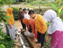 Dinas Perikanan Lepas Liarkan Ikan Dan Intervensi Penanganan Stunting di Bojonggenteng