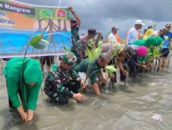 Sayangi Bumi Cegah Abrasi, Kodim 1415/Selayar Bersama Stakeholder Lakukan Penanaman Mangrove