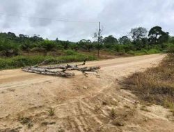 Ratusan Karyawan PT KBPC Group Tak Bisa Bekerja, Jalan Hauling Ditutup