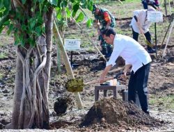 Pangdam IX/Udayana Sebagai Pangkogasgabpad Pam VVIP Dampingi Presiden RI Tanam Pohon di NTT