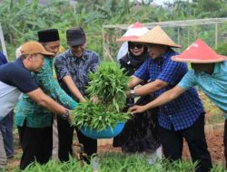 Panen Bareng KWT, Nurdin: Bisa Jadi Tempat Belajar Urban Farming