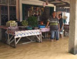 Akibat Hujan Deras Puluhan Rumah di Desa Pulau Pandan Terendam Banjir