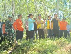 Bergerak Cepat Tangani Banjir, Pemkab Mesuji Meminta Bantuan Tim BBWS Mesuji Sekampung