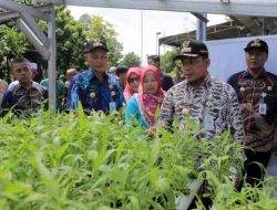 Perkuat Kemandirian Pangan, Pj Walikota  Masifkan KWT dan Urban Farming