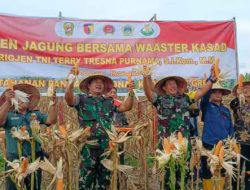 Tim Wasev Panen Jagung Bersama Pada Program TMMD Kabupaten Gresik