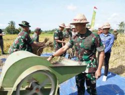 Sukseskan Swasembada Pangan, Pangdam IX/Udayana Panen Raya Padi di Desa Sidan