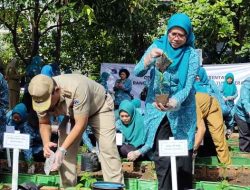 Gerakan Tanam Cabai Serentak di Meruya Utara, Ketua PKK Jakbar Harapkan Masyarakat Ikuti Program Cegah Boros Pangan