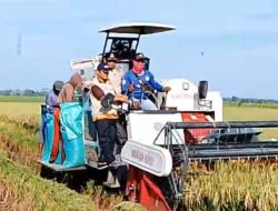 Bersama POKTAN Harapan Maju, Kepala Kampung Gedung Karya Jitu Uji Alat Panen Perdana Combine Harvester Maxx Bimo 102