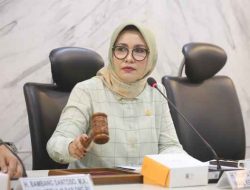 BAP DPD RI Tindaklanjuti Dua Pengaduan Berbeda