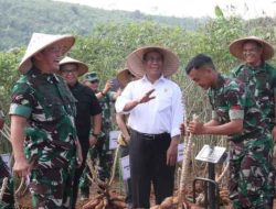 Panen Raya di Food Estate Ciemas, Bupati Sukabumi : Semoga Meningkatkan Taraf Perekonomian Masyarakat