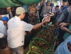 Penemuan Mayat Tanpa Kepala di sungai Batang Tebo, Sudah Terindifikasi