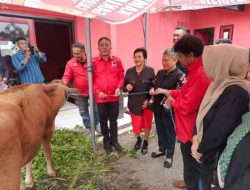 Anggota DPRD Kabupaten Sukabumi Paoji Nurjaman Terima Sapi Qurban Dari dr Ribka Tjiptaning