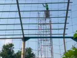 Diduga Pelaksana Proyek GSG Gunakan Aliran Listrik Ilegal dan Tidak Sesuai Dengan Spesifikasi, DTRB Pemkab Tangerang Bungkam