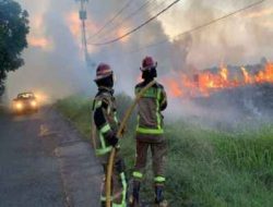 Antisipasi Kebakaran Hutan Saat Puncak Musim Kemarau, Pemkab Purwakarta Siagakan Ribuan Personil