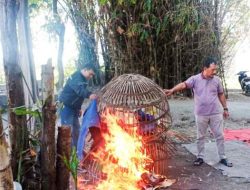 Gerak Cepat, Polisi Tindak Lanjuti Informasi Dugaan Adanya Perjudian Sabung Ayam di Desa Bareng Krajan