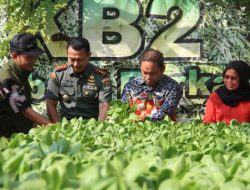 Baru Jabat Satu Hari, Dandim 0506/Tgr Ikut Panen Cabai Bersama KWT