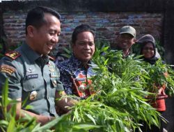 Perkuat Pengendalian Inflasi, Dr. Nurdin : Masifkan KWT dan Urban Farming