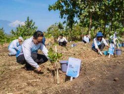 Pelita Air bersama Pertamina Tanam 10 Ribu Pohon di Jawa Timur